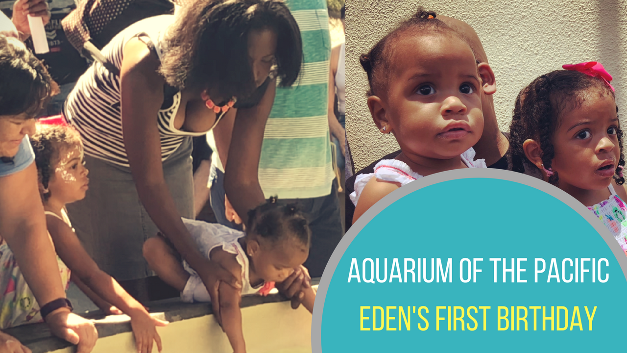 Aquarium of the Pacific – Baby First Birthday